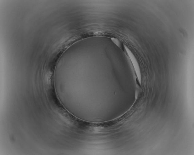 X0000114100650200910191643