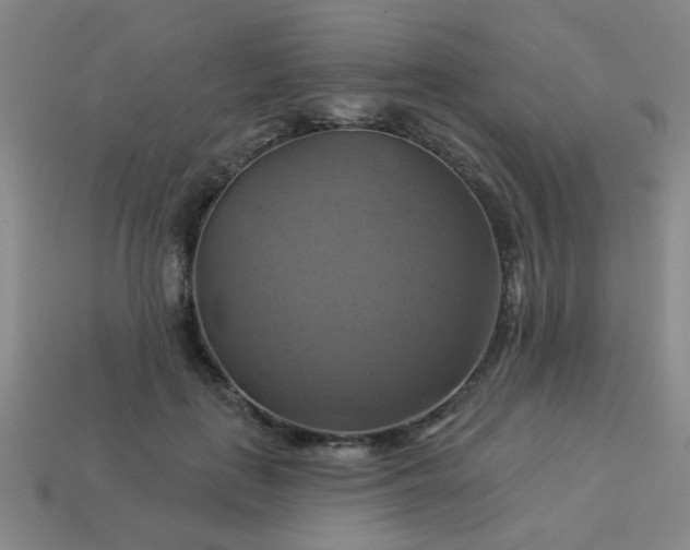 X0000114100651200910191643