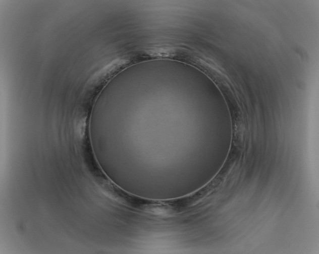 X0000114100652200910191643