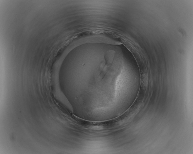 X0000114100653200910191643