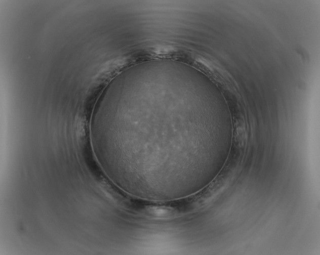 X0000114100654200910191643