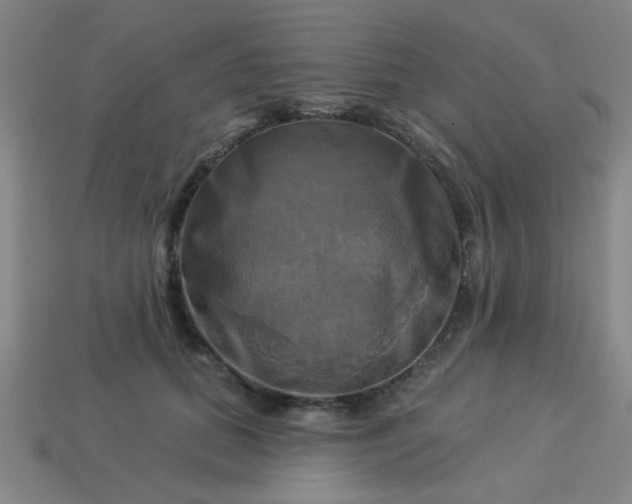 X0000114100655200910191643