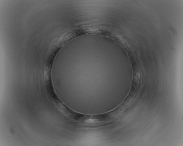 X0000114100658200910191643