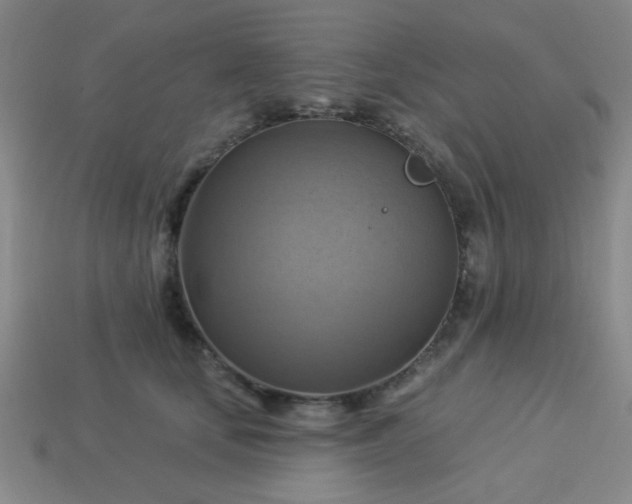 X0000114100659200910191643