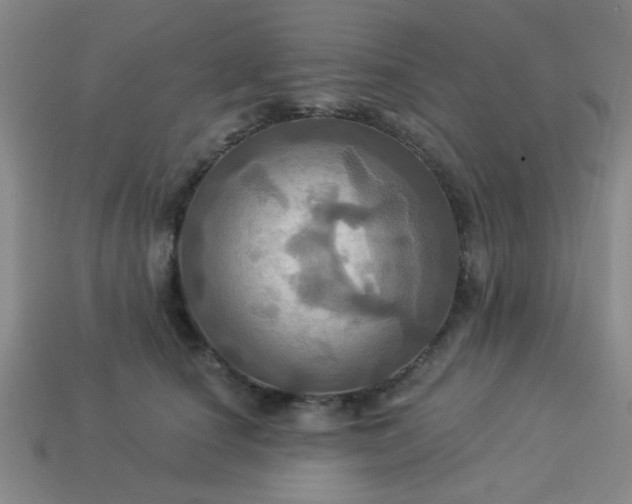 X0000114100660200910191643