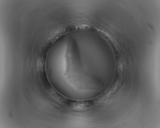 X0000114100661200910191643