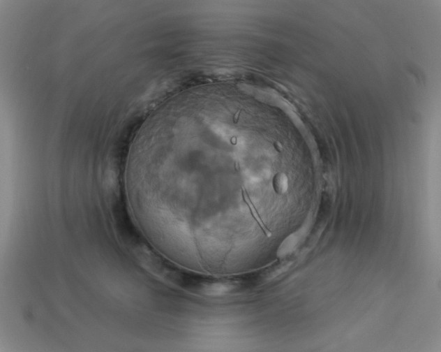 X0000114100662200910191643