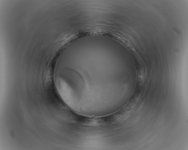 X0000114100663200910191643