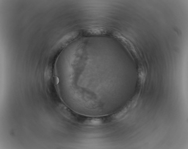 X0000114100665200910191643