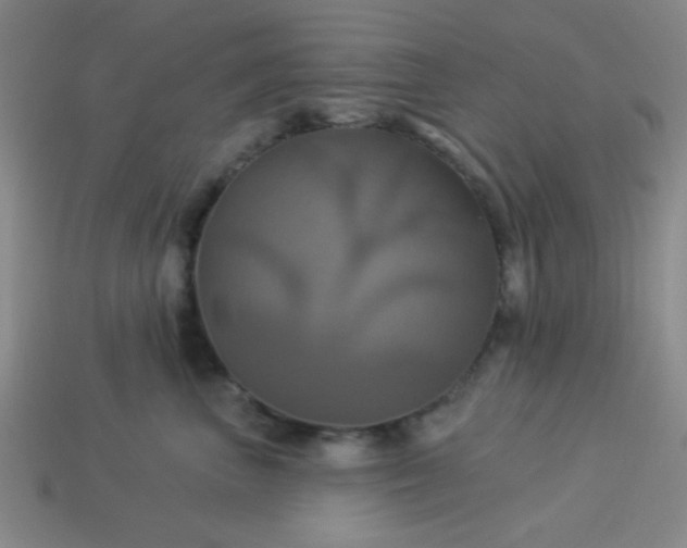 X0000114100667200910191643