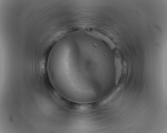 X0000114100670200910191643