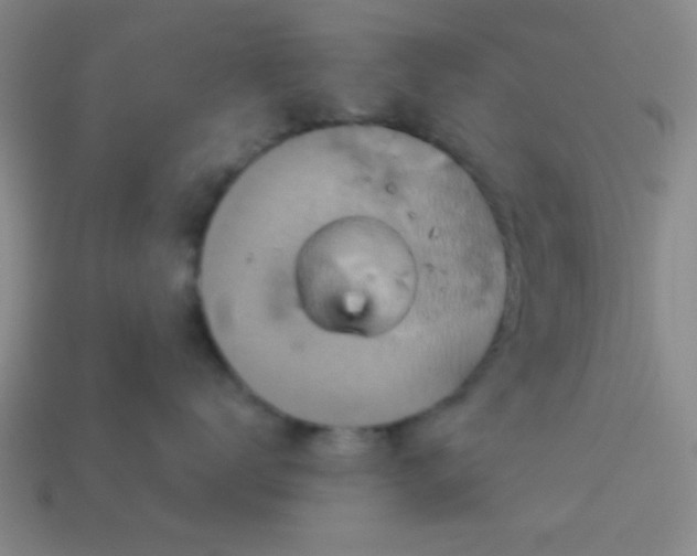 X0000114100672200910191643