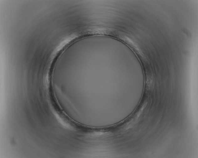 X0000114100674200910191642