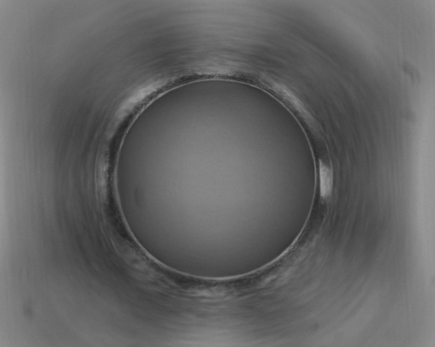 X0000114100675200910191642