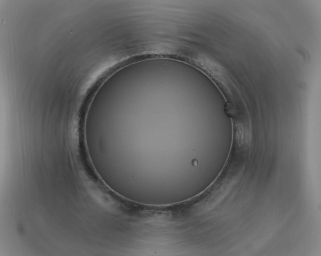 X0000114100676200910191642