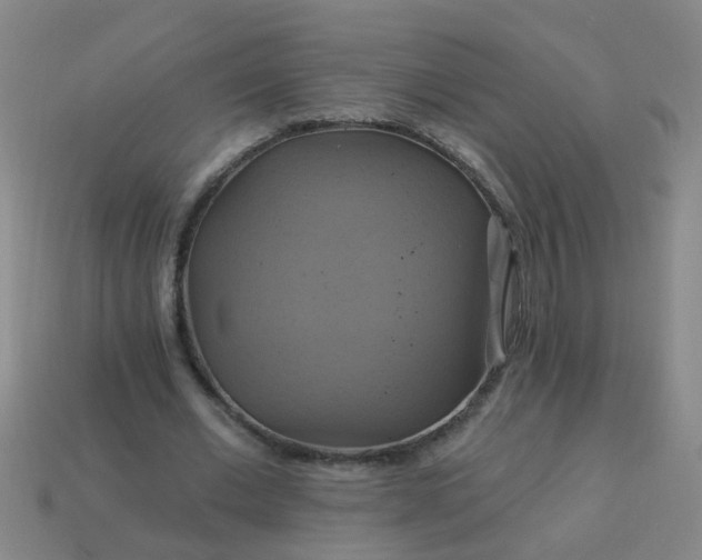 X0000114100677200910191642