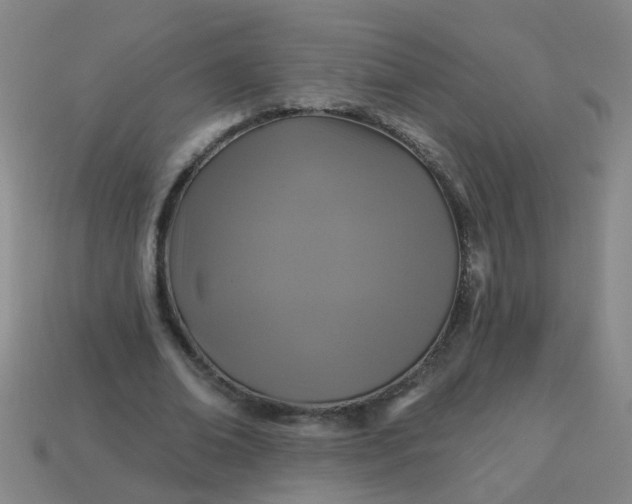 X0000114100678200910191642