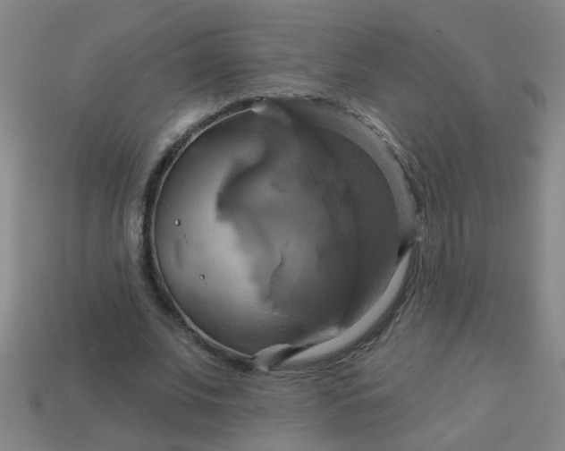 X0000114100679200910191642