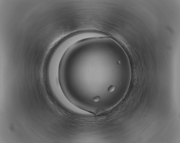 X0000114100680200910191642