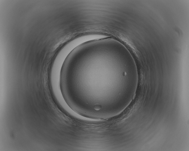 X0000114100681200910191642