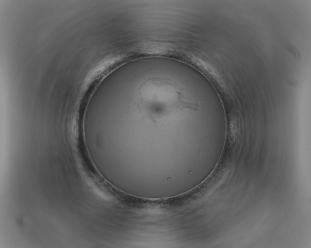 X0000114100682200910191642