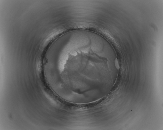 X0000114100683200910191642