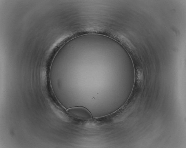 X0000114100684200910191642