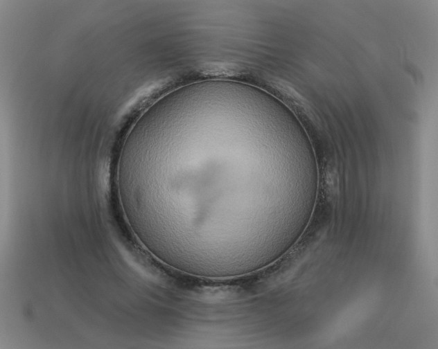 X0000114100686200910191642