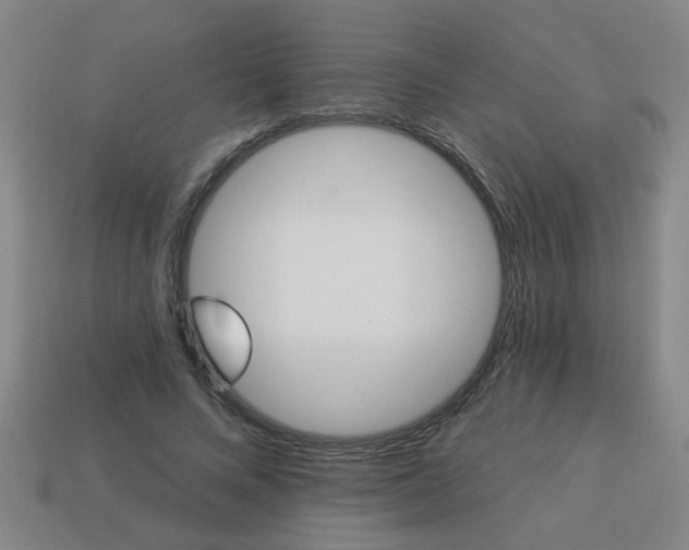 X0000114100688200910191642