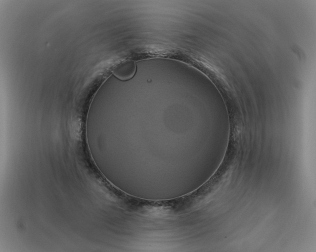 X0000114100689200910191642