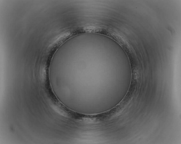 X0000114100690200910191642