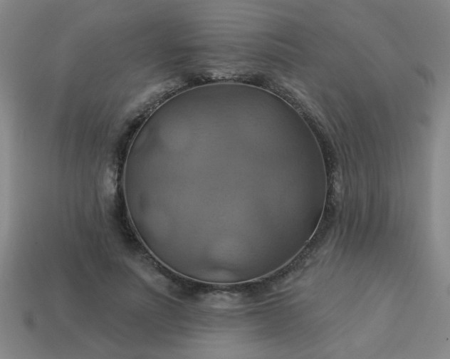 X0000114100691200910191642