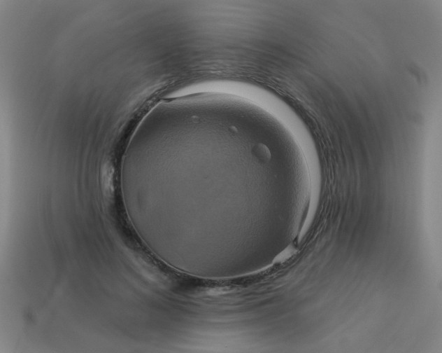 X0000114100692200910191642