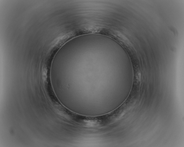 X0000114100693200910191642