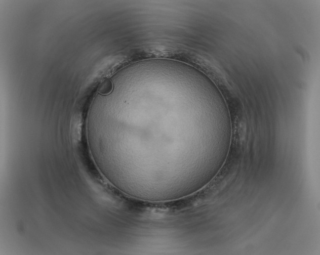 X0000114100694200910191642