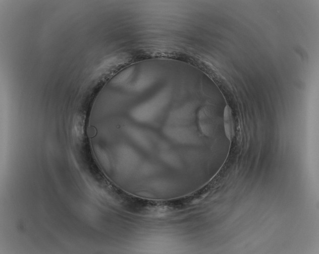 X0000114100695200910191642