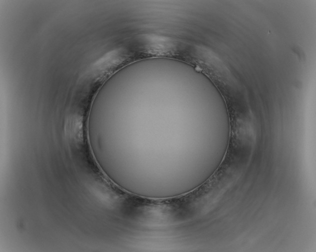 X0000114100696200910191642