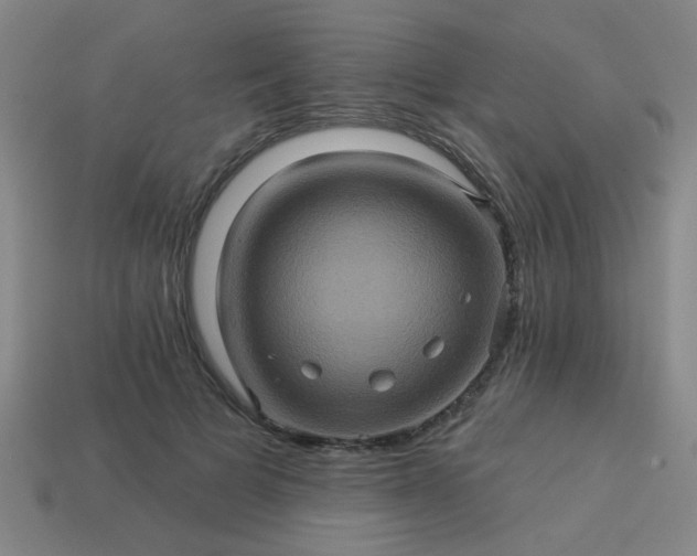 X0000114100697200910191642