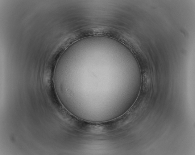 X0000114100698200910191642