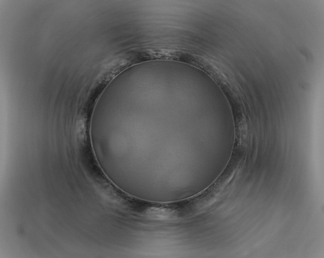 X0000114100699200910191642