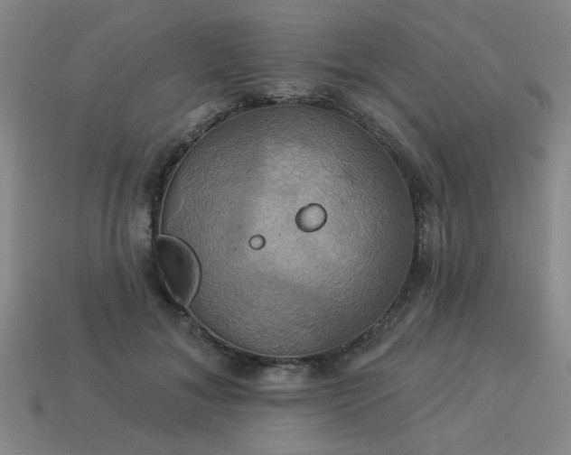 X0000114100700200910191642