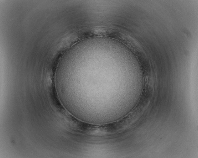 X0000114100702200910191642