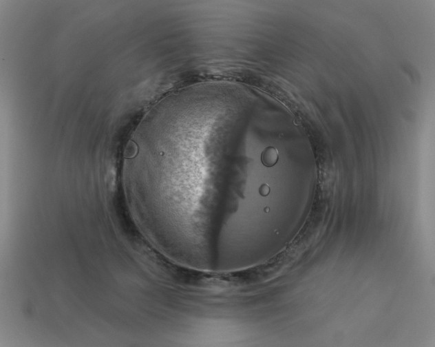 X0000114100703200910191642