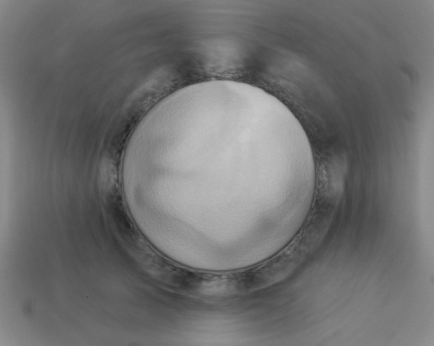 X0000114100705200910191642