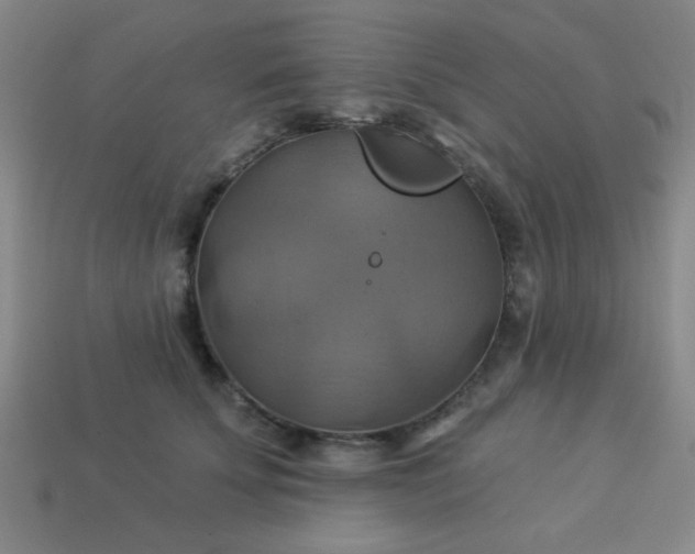 X0000114100707200910191642