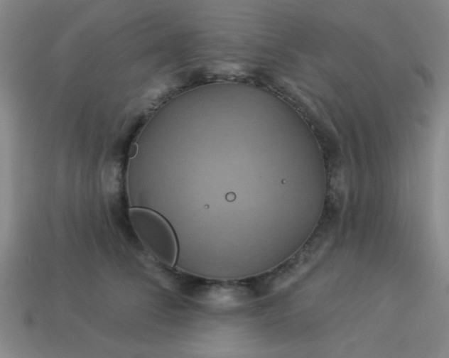 X0000114100708200910191642