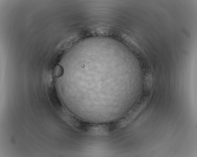 X0000114100709200910191642