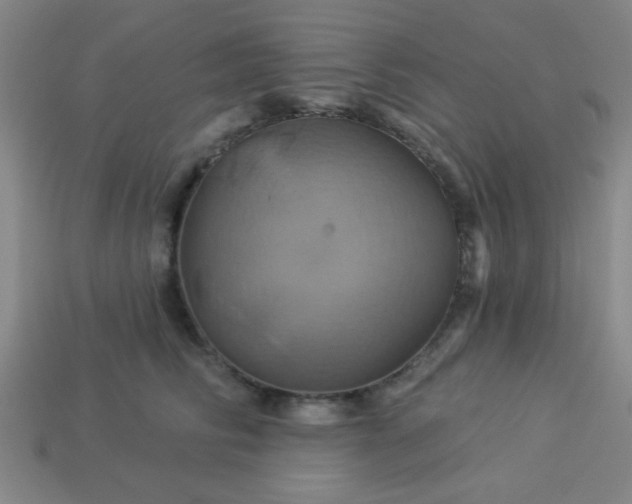 X0000114100710200910191642