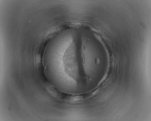 X0000114100711200910191642