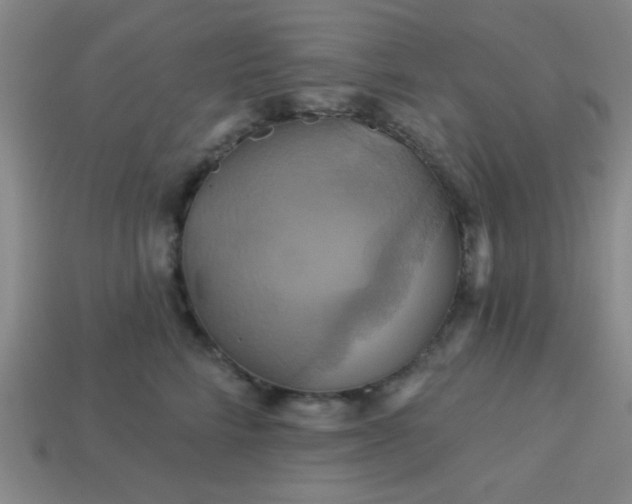 X0000114100712200910191642